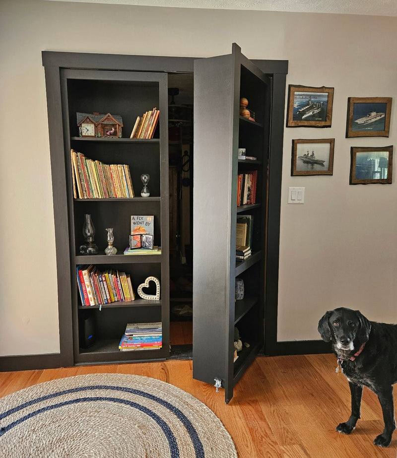 Does Your Room Lack Character? Try a Bookcase Closet Door!