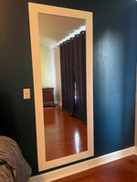 Hidden Alpha mirror door